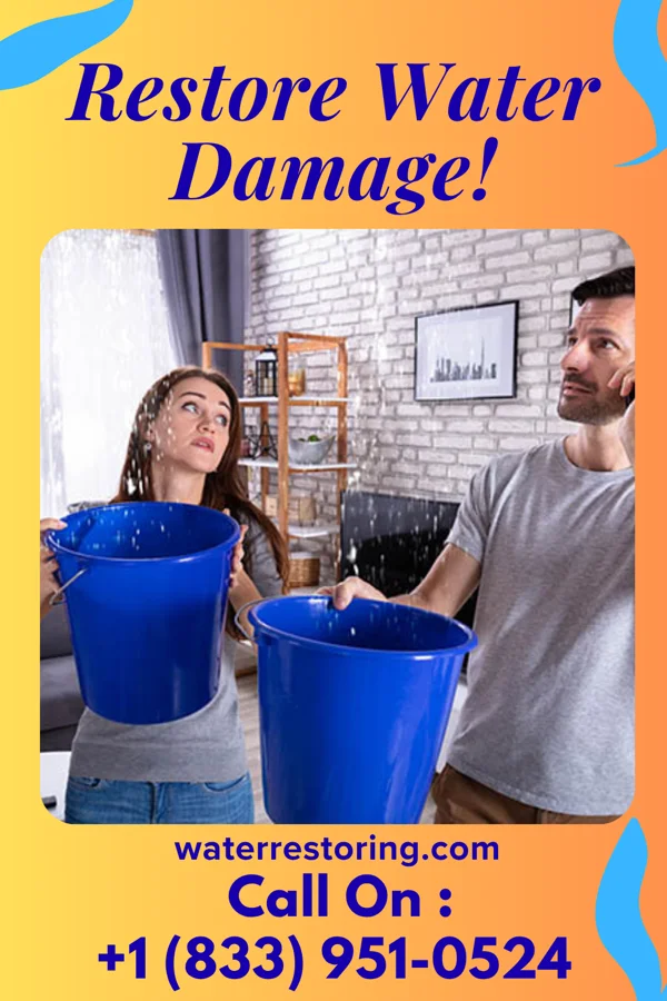 water restoration Citywide Water Removal Partners South Bethlehem