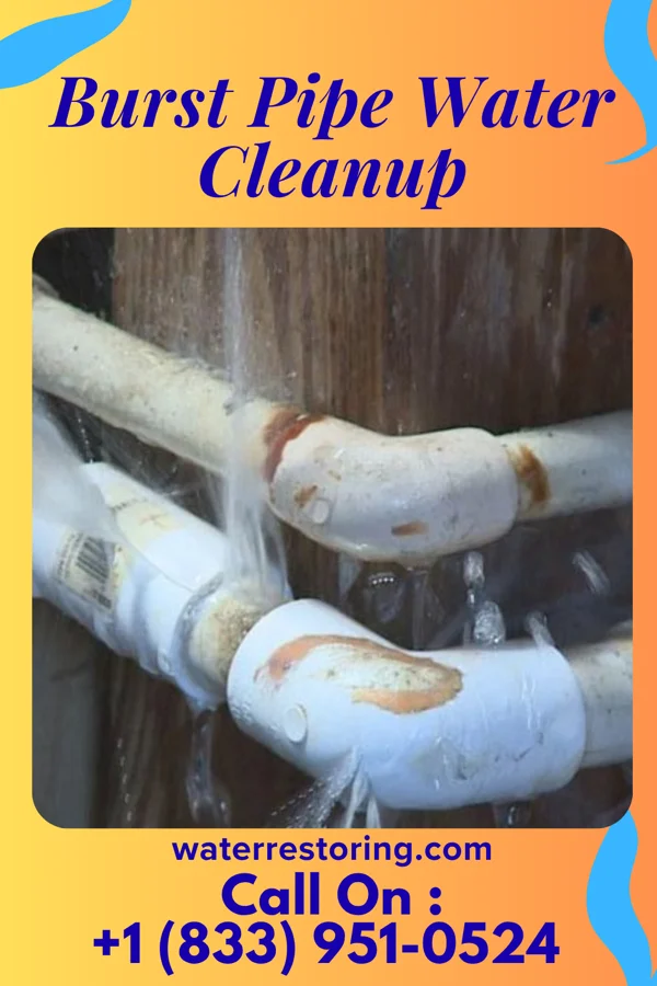 Burst Pipe Water Cleanup in South Bethlehem, PA