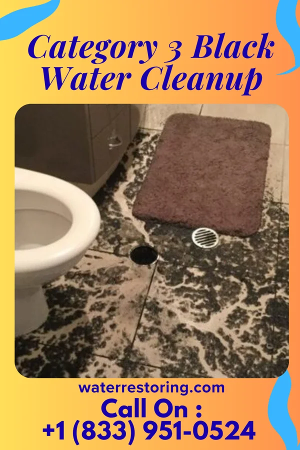 Category 3 Black Water Cleanup in South Bethlehem, PA