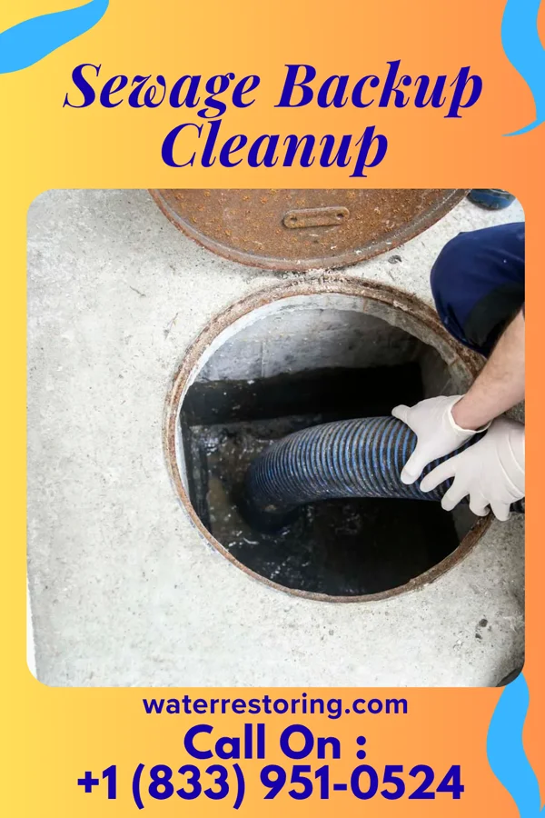 Sewage Backup Cleanup in South Bethlehem, PA