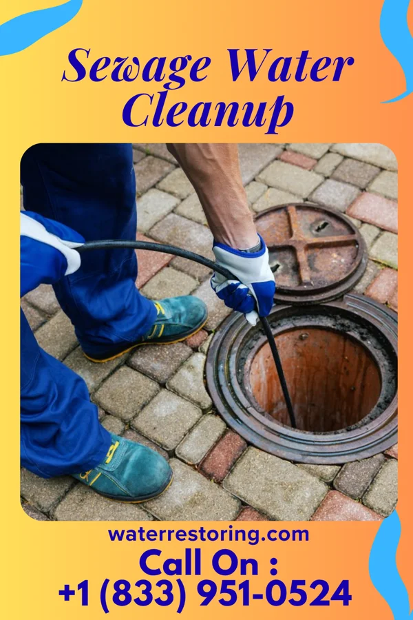 Sewage Water Cleanup in South Bethlehem, PA