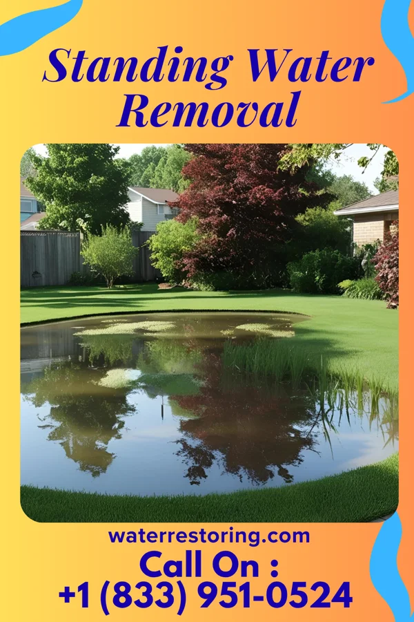 Standing Water Removal in South Bethlehem, PA